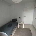דירה Majoitusykkoenen *